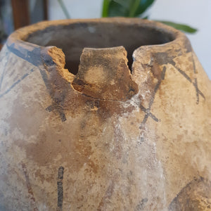 Berber Rif Vessel // Scorpion