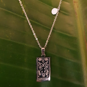 Capricorn Zodiac Necklace